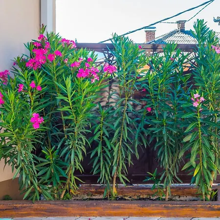 Mira - With Private Pool Apartamento Mostar